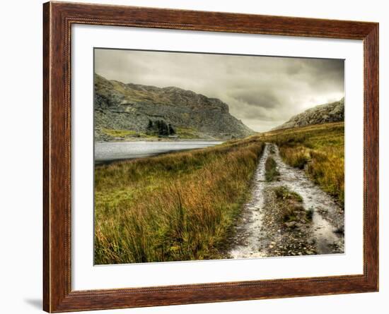 Cold Comfort-Mark Gemmell-Framed Photographic Print