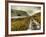 Cold Comfort-Mark Gemmell-Framed Photographic Print