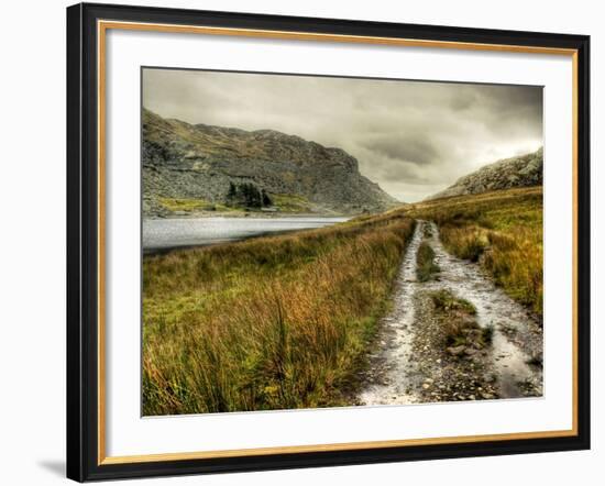 Cold Comfort-Mark Gemmell-Framed Photographic Print