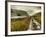 Cold Comfort-Mark Gemmell-Framed Photographic Print