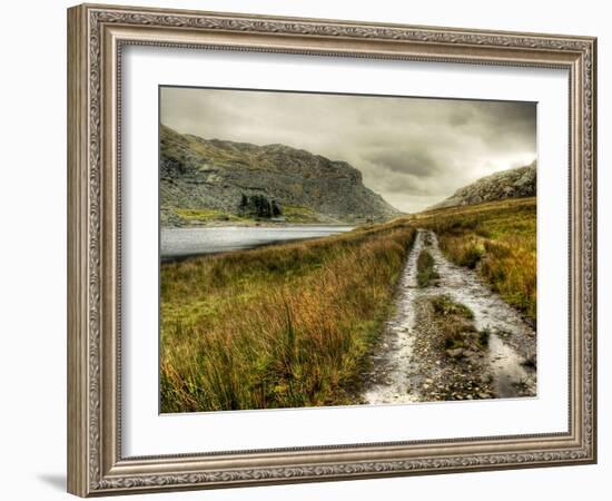 Cold Comfort-Mark Gemmell-Framed Photographic Print