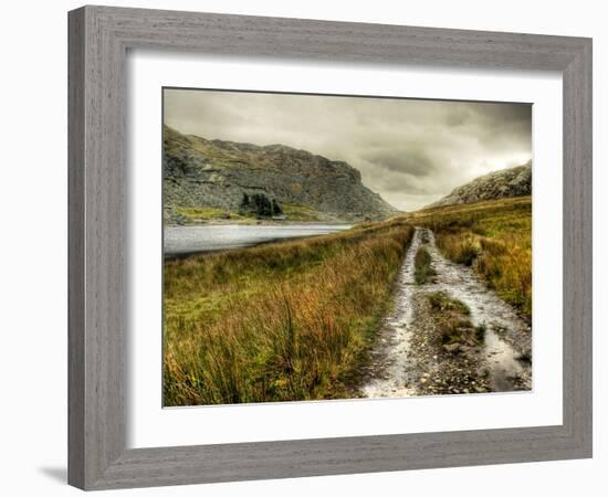 Cold Comfort-Mark Gemmell-Framed Photographic Print