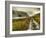 Cold Comfort-Mark Gemmell-Framed Photographic Print