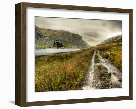 Cold Comfort-Mark Gemmell-Framed Photographic Print