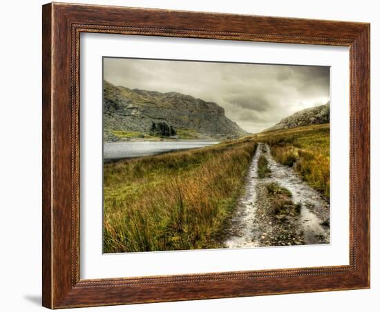 Cold Comfort-Mark Gemmell-Framed Photographic Print