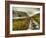 Cold Comfort-Mark Gemmell-Framed Photographic Print