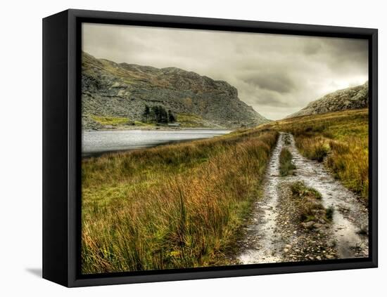 Cold Comfort-Mark Gemmell-Framed Premier Image Canvas