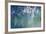 Cold Frame Silver-Joshua Schicker-Framed Giclee Print