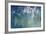 Cold Frame Silver-Joshua Schicker-Framed Giclee Print