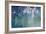 Cold Frame Silver-Joshua Schicker-Framed Giclee Print