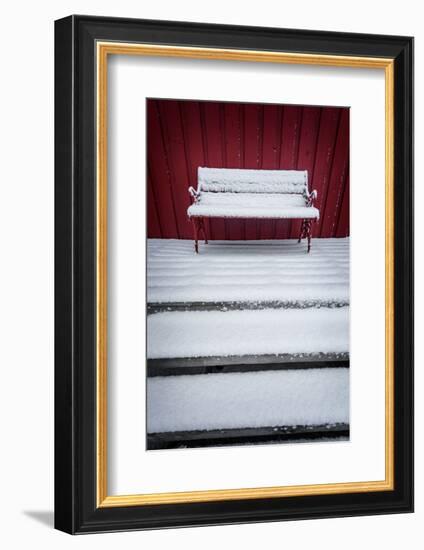 Cold Fusion-Philippe Sainte-Laudy-Framed Photographic Print