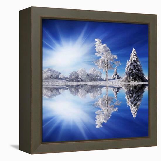 Cold Light-Philippe Sainte-Laudy-Framed Premier Image Canvas