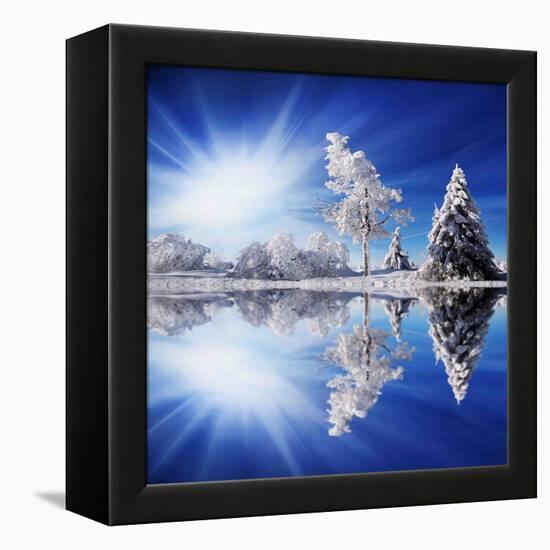 Cold Light-Philippe Sainte-Laudy-Framed Premier Image Canvas