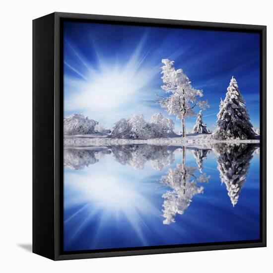 Cold Light-Philippe Sainte-Laudy-Framed Premier Image Canvas