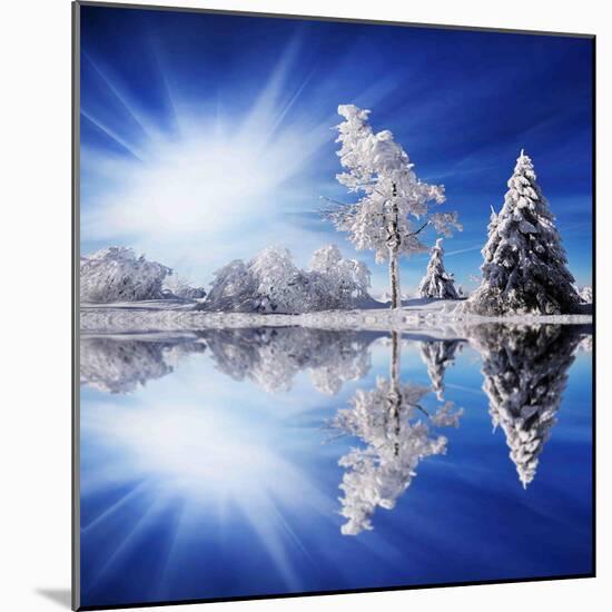 Cold Light-Philippe Sainte-Laudy-Mounted Photographic Print