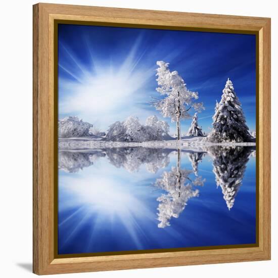 Cold Light-Philippe Sainte-Laudy-Framed Stretched Canvas