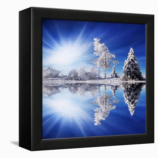 Cold Light-Philippe Sainte-Laudy-Framed Stretched Canvas