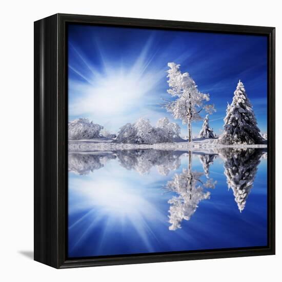 Cold Light-Philippe Sainte-Laudy-Framed Stretched Canvas