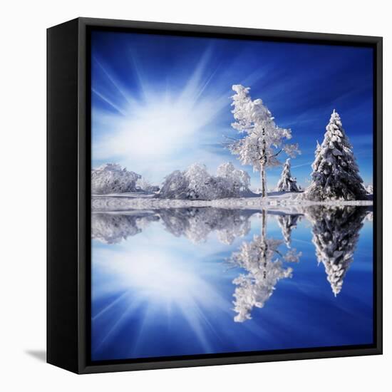 Cold Light-Philippe Sainte-Laudy-Framed Stretched Canvas