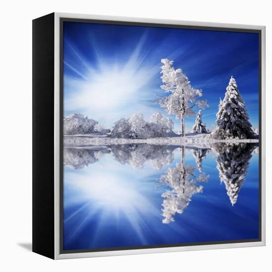 Cold Light-Philippe Sainte-Laudy-Framed Stretched Canvas