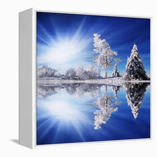 Cold Light-Philippe Sainte-Laudy-Framed Stretched Canvas