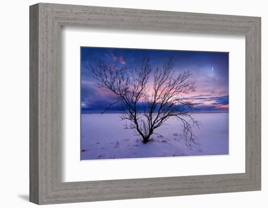 Cold Moon-Philippe Sainte-Laudy-Framed Photographic Print