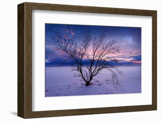 Cold Moon-Philippe Sainte-Laudy-Framed Photographic Print