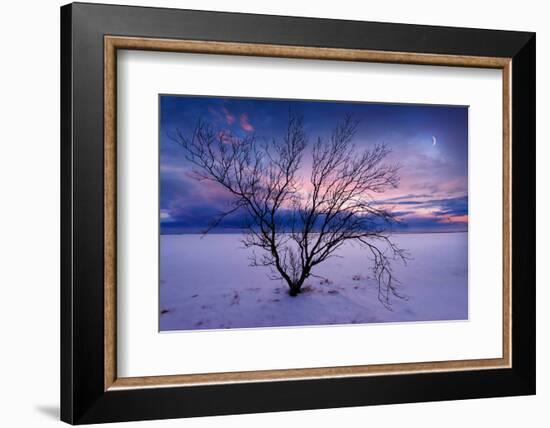 Cold Moon-Philippe Sainte-Laudy-Framed Photographic Print