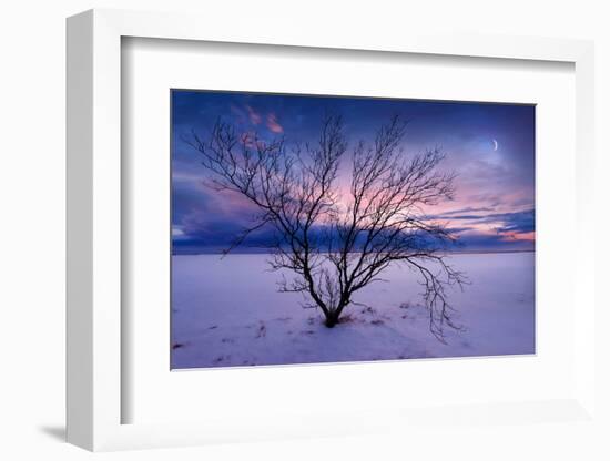 Cold Moon-Philippe Sainte-Laudy-Framed Photographic Print