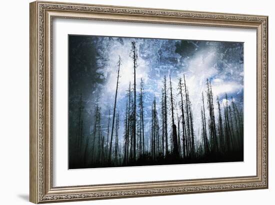 Cold Night-Ursula Abresch-Framed Photographic Print