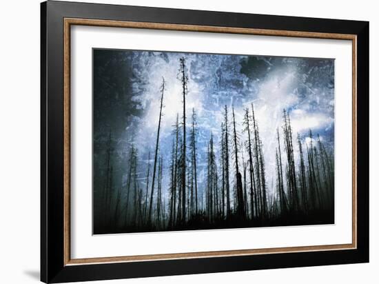 Cold Night-Ursula Abresch-Framed Photographic Print