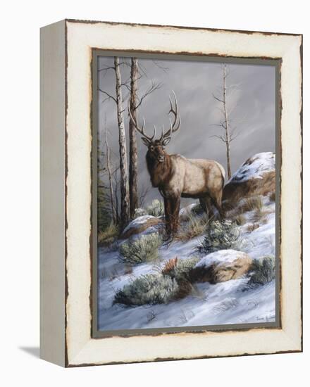 Cold Ridge Watcher-Trevor V. Swanson-Framed Premier Image Canvas