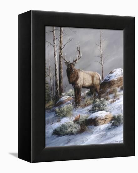 Cold Ridge Watcher-Trevor V. Swanson-Framed Premier Image Canvas