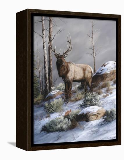 Cold Ridge Watcher-Trevor V. Swanson-Framed Premier Image Canvas