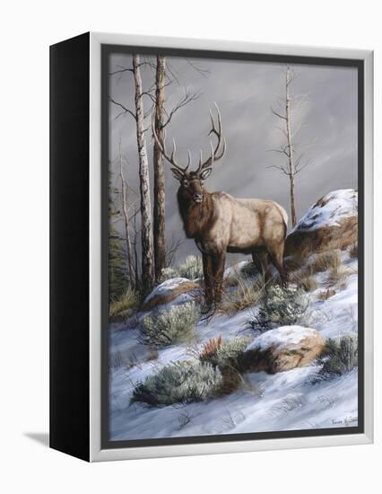 Cold Ridge Watcher-Trevor V. Swanson-Framed Premier Image Canvas