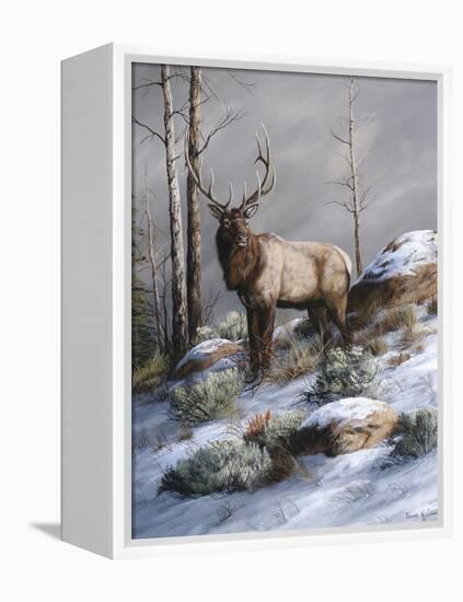 Cold Ridge Watcher-Trevor V. Swanson-Framed Premier Image Canvas