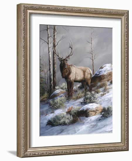 Cold Ridge Watcher-Trevor V. Swanson-Framed Giclee Print