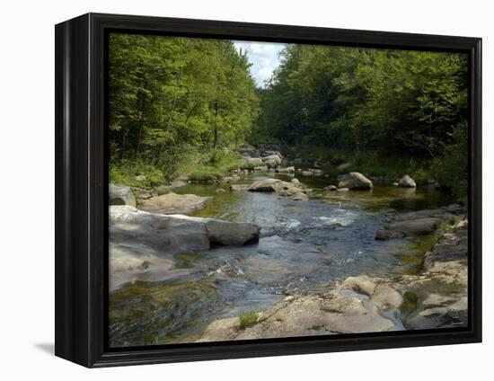 Cold River in Evans Notch of the White Mountains, Maine and New Hampshire Border Area-null-Framed Premier Image Canvas