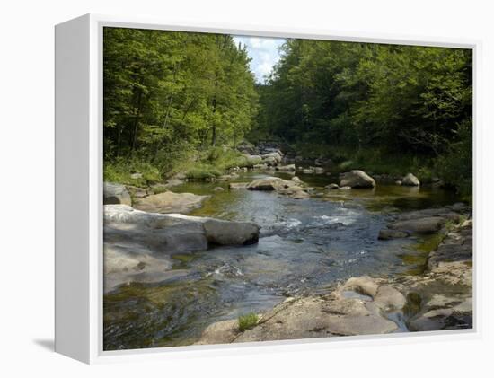 Cold River in Evans Notch of the White Mountains, Maine and New Hampshire Border Area-null-Framed Premier Image Canvas