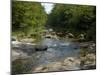 Cold River in Evans Notch of the White Mountains, Maine and New Hampshire Border Area-null-Mounted Photographic Print