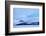 Cold Shot-Philippe Sainte-Laudy-Framed Photographic Print