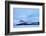 Cold Shot-Philippe Sainte-Laudy-Framed Photographic Print