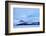 Cold Shot-Philippe Sainte-Laudy-Framed Photographic Print