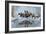 Cold Water Crossing-Gordon Semmens-Framed Giclee Print