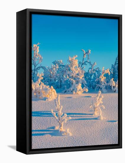 Cold Winter in Lapland Sweden with Temperatures -47 Celsius-null-Framed Premier Image Canvas