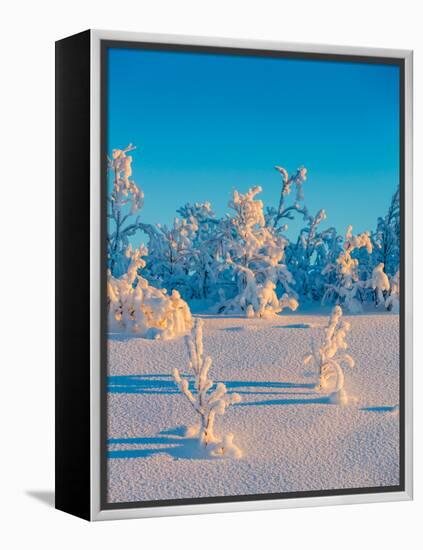 Cold Winter in Lapland Sweden with Temperatures -47 Celsius-null-Framed Premier Image Canvas