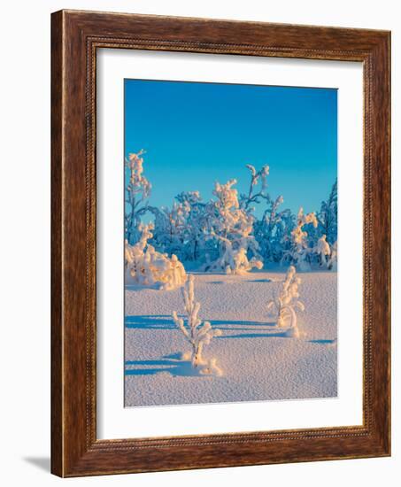 Cold Winter in Lapland Sweden with Temperatures -47 Celsius-null-Framed Photographic Print