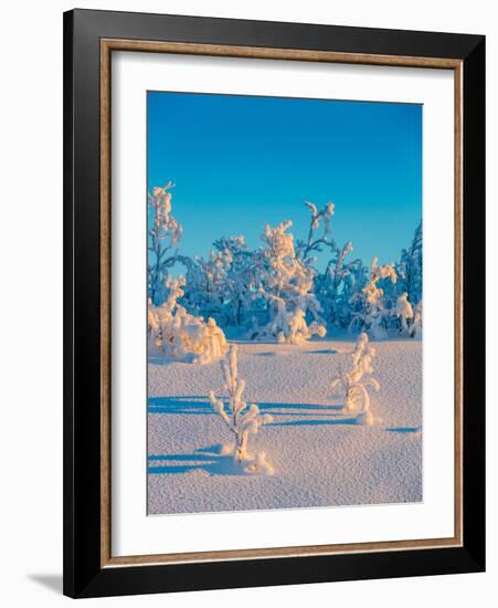 Cold Winter in Lapland Sweden with Temperatures -47 Celsius-null-Framed Photographic Print