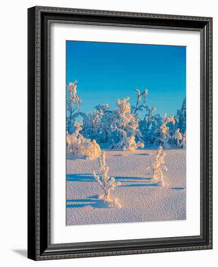 Cold Winter in Lapland Sweden with Temperatures -47 Celsius-null-Framed Photographic Print
