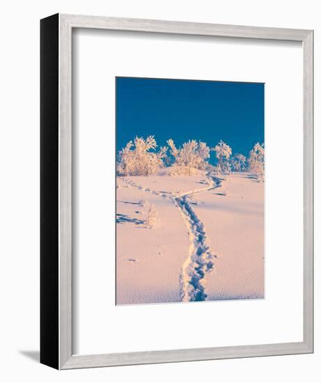 Cold Winter in Lapland Sweden with Temperatures -47 Celsius-null-Framed Photographic Print